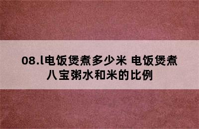 08.l电饭煲煮多少米 电饭煲煮八宝粥水和米的比例